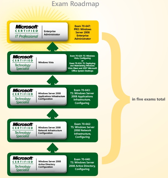 free the development of executive function in early